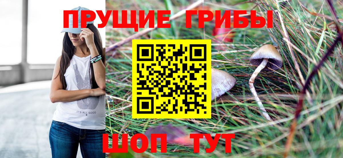 Галлюциногенные грибы прущие грибы Алейск