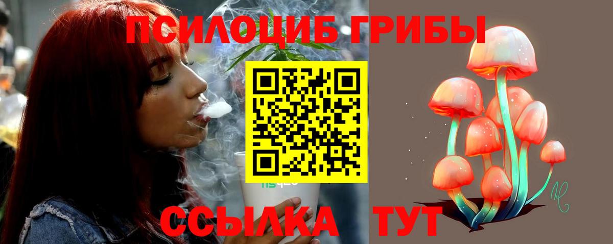 Алейск  Галлюциногенные грибы Psilocybe  Вход с VPN 