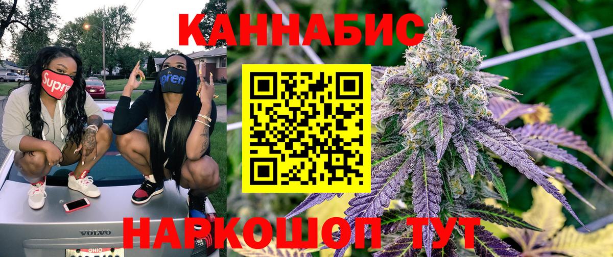Бошки марихуана Bruce Banner Алейск